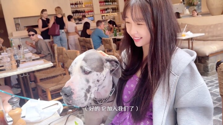 【Yu Shuxin】Vlog of LA adventures during the album recording break
