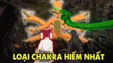 Chakra Hiếm Nhất | Tìm Hiểu 13 Loại Chakra Đặc Biệt Nhất Trong Naruto