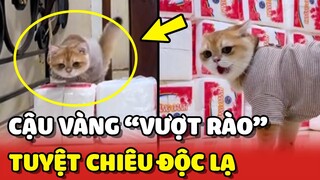 Cậu Vàng - Chiến thắng thử thách VƯỢT RÀO bằng tuyệt chiêu ĐỘC LẠ 😂 | Yêu Lu