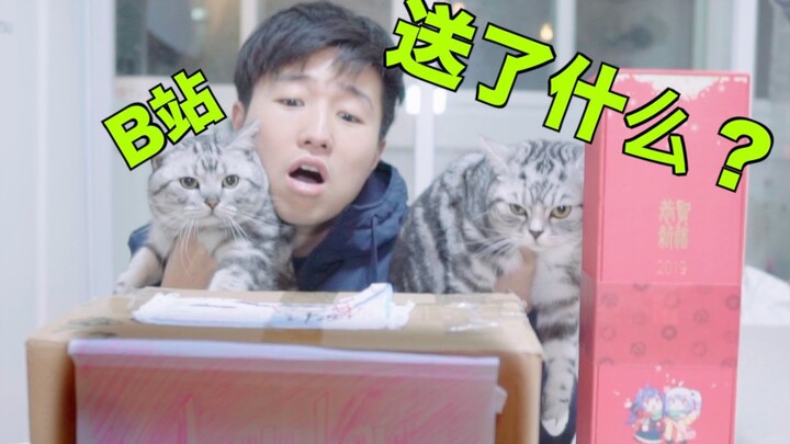 What did Bilibili send my cat? They probably weren’t pulling my leg—my kitty absolutely loves it!