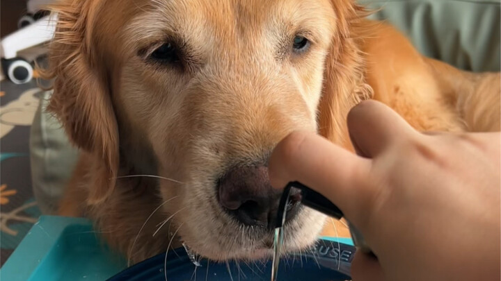 مؤخرًا كنت أتناول وجبات بسيطة في المنزل