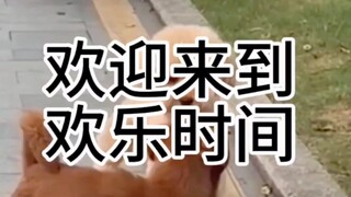 Xiao Huang was scared to death.