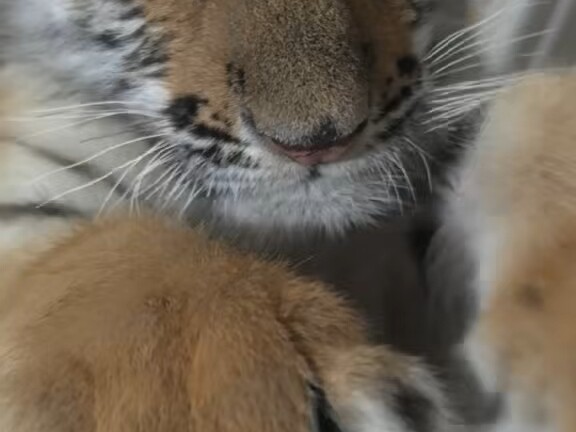 Sayang, bayi yang menggemaskan, aku sangat suka!