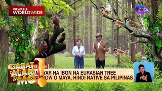 Ama, sinorpresa ng kanyang anak na cum laude | Dapat Alam Mo!