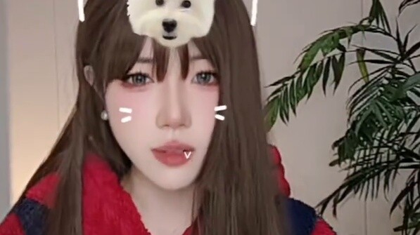 【Đến giờ ăn đậu rồi】