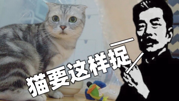 Mr. Lu Xun Teaches You How to Catch Cats!