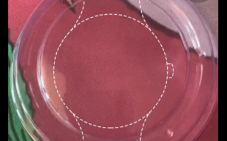 It’s seriously insane.