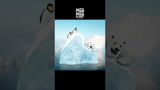 Polar bear ＆ Penguin - MOGMOG PLANET Observation Diary | It's Anime #shorts #anime #animals