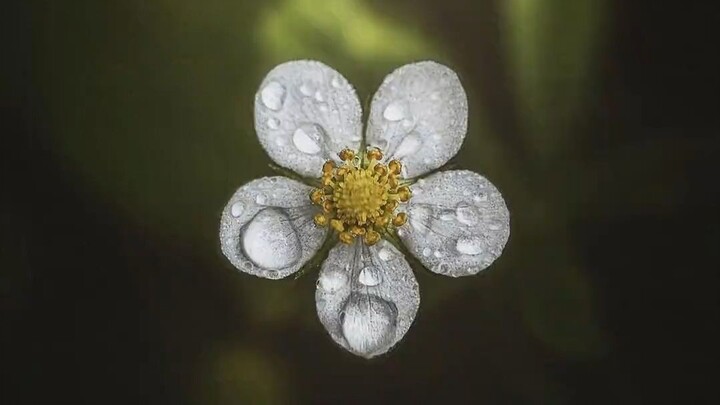 การยกระดับสุนทรียภาพ | phaethon