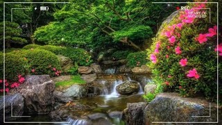 Best Praise and Worship  Special Hillsong Worship Songs Playlist 2025  Goodness