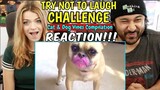 TRY NOT TO LAUGH CHALLENGE | Funny Cat & Dog Vines | REACTION!!!