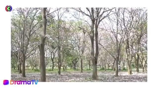 my husband in law ep1