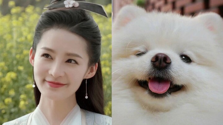 动物世界版庆余年，这么可爱的林婉儿你见过么（第三期）