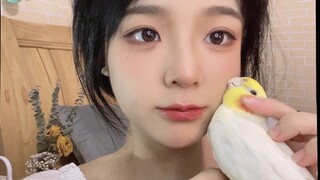 Ssst…Rahasia Ayam Blush