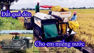 Cảnh anh tài xế lái con kubota 105x gặp đất quá dẻo phải kêu cầu cứu