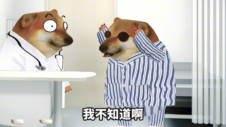 最近大家都疯了，难道是没钱了