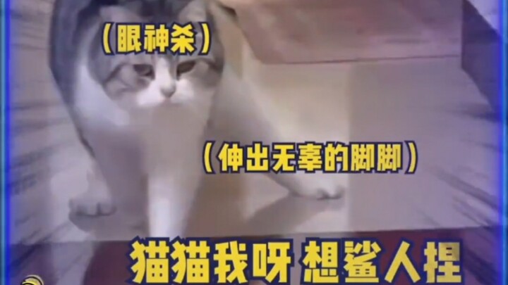 Oh, it’s me, Cat — all I can do is slip on my own two feet!