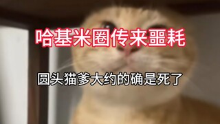 Bad news came from Hakimi's circle, the round-headed cat dad is probably dead