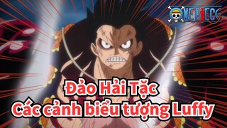 [Đảo Hải Tặc] Các cảnh biểu tượng Luffy Cut 3, Vs. Doflamingo/Kaidou