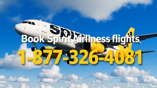 Can you call Spirit customer service?