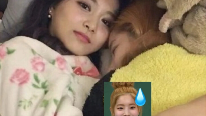 หัวเราะกอดแล้ว ทำไมจื่ออวี๋ถึงกอดหมาลูนอน