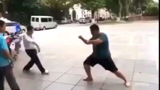 Kung fu pig