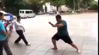 Kung fu pig