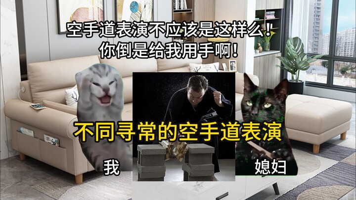 [Cat Meme] Wife’s Unusual Karate Performance