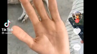 Emotional Damage!!!🗿