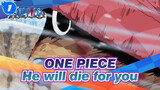 ONE PIECE|Have you ever seen a Chopper like this? He will die for you..._1