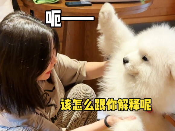 ป้า! ฉันไม่ใช่เนื้อบดนะ!