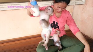 OMG! Both Lovely Sono & Tiny Baby Liheang Crying When Mom Mixing Milk For Them