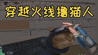 这TM打仗呢！你整只猫干嘛来了！