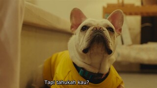 Dog Days (2024) - Subtitle Indonesia