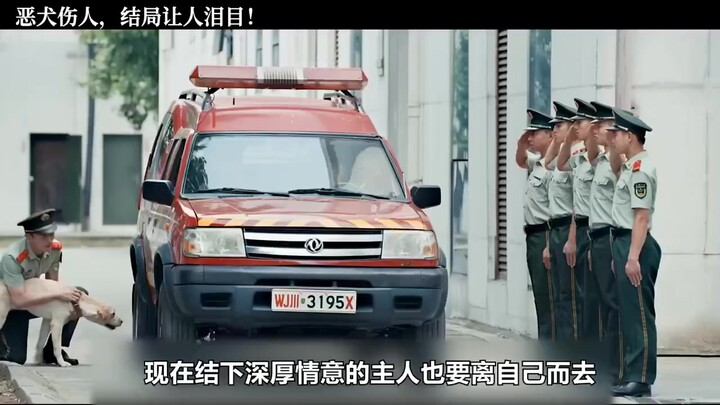 The vicious dog bites people, and the ending makes people cry! "Dog bites people" "Black dog bites g