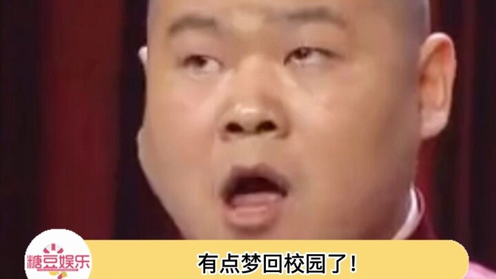 Hahaha, chuột cười! Ai cũng bận rộn, nhưng chẳng ai biết mình đang bận gì cả.