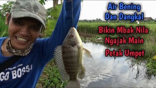 Gini Nih Rasanya Mancing Ikan Nila Di Selokan Sawah Yang Airnya Bening Dan Dangkal