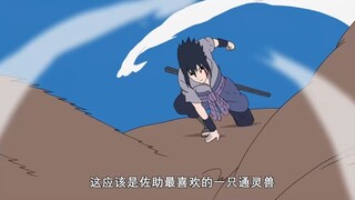 火影冷知识：飞段是饿死的？带土和黑绝为什么不把他挖出来？