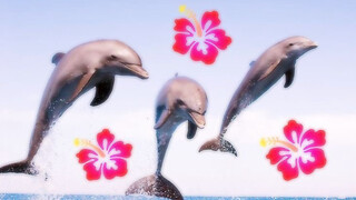 ✿゛Rumah manis Bumi ⛲ .cokelat