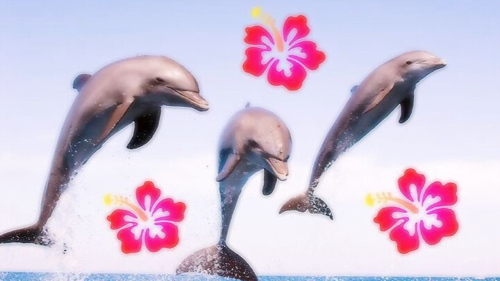 ✿゛Rumah manis Bumi ⛲ .cokelat