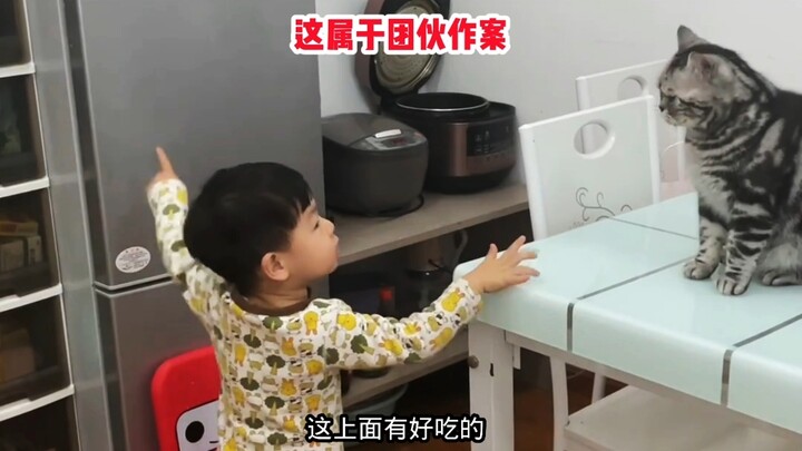 Bocah: Kamu ambilin cemilan di atas, nanti aku bagi dua sama kamu!