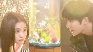 bpil ep 1