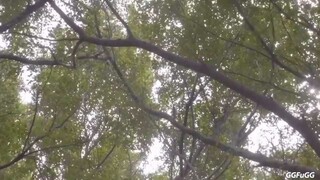 CUTE HIGH SCHOOL LOVE STORY