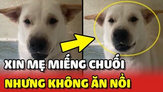 Lỡ xin mẹ miếng CHUỐI mà không ăn hết và cái kết 😂 | Yêu Lu
