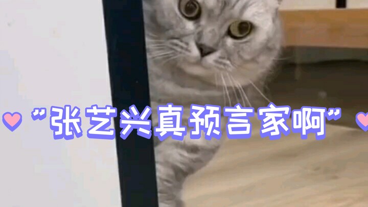 Zhang Yixing benar-benar peramal
