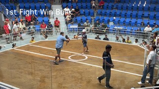 6 Stag Derby Finals CHAMPION