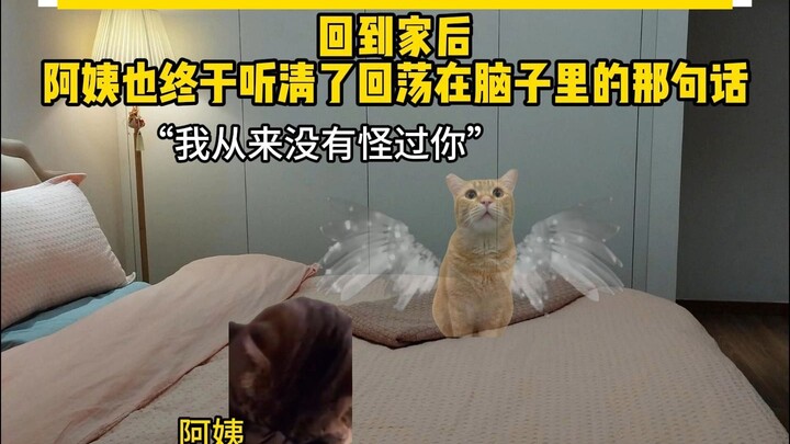 I've practiced countless times in my dreams—how could I mess up this time?