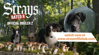 STRAYS OFFICIAL TRAILER 2 - Full Movie Link In Description