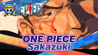 ONE PIECE|Sakazuki:I spent my whole life, only to eliminate the pirates