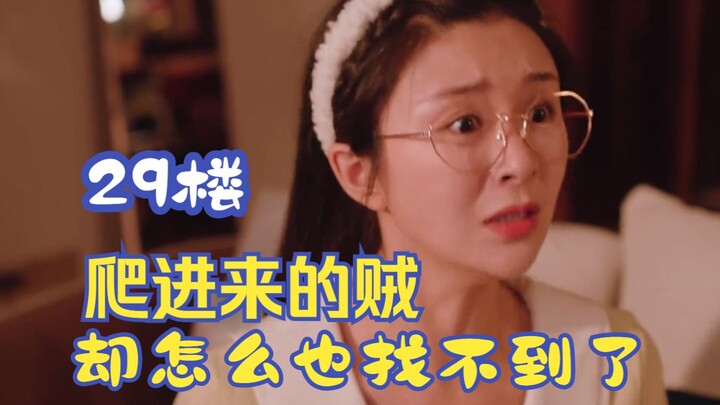 Một tên trộm trèo vào từ tầng 29, nhưng mãi vẫn không thể tìm ra hắn.